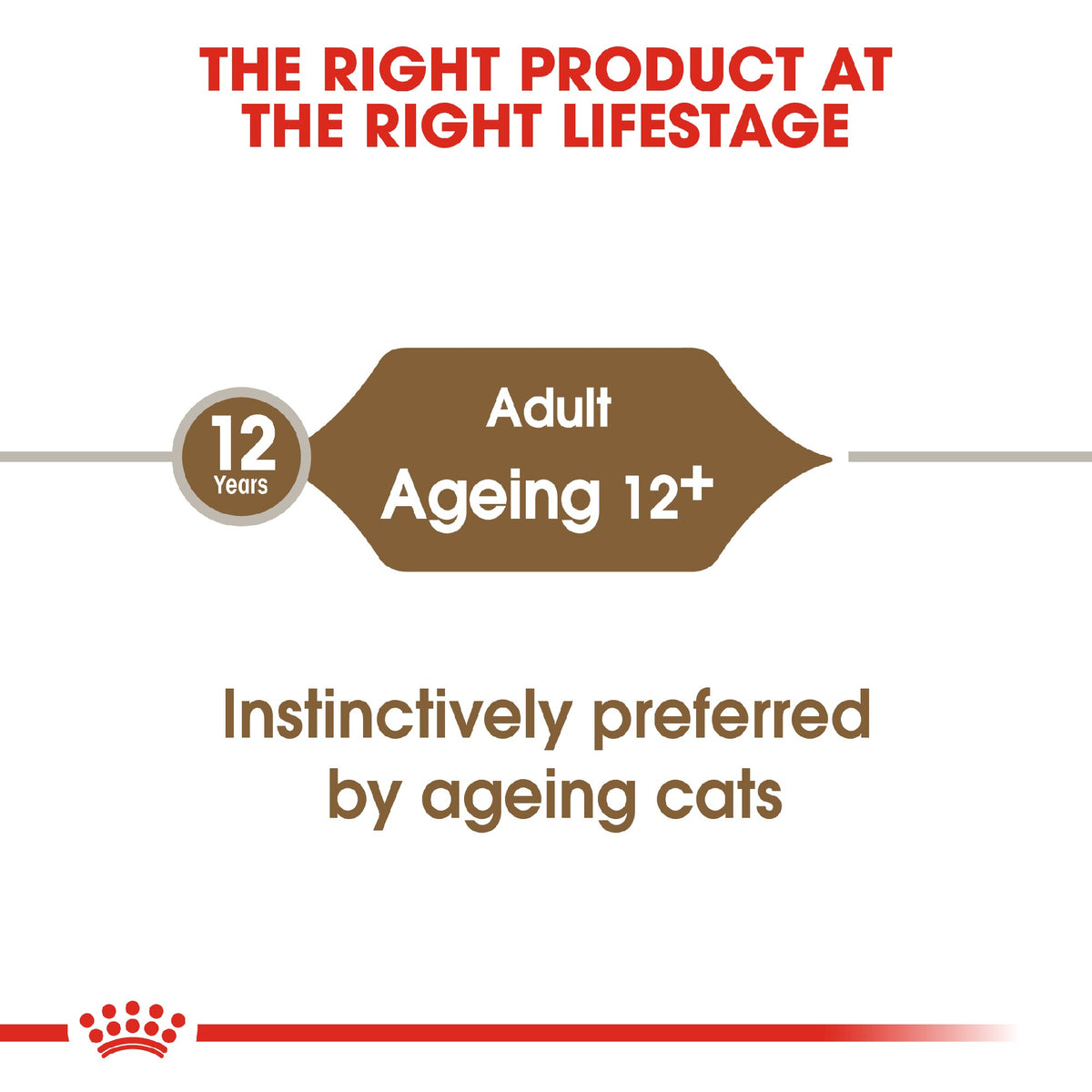 Royal Canin Cat Ageing 12+ Gravy 85g Pouch