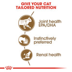 Royal Canin Cat Ageing 12+ Gravy 85g Pouch