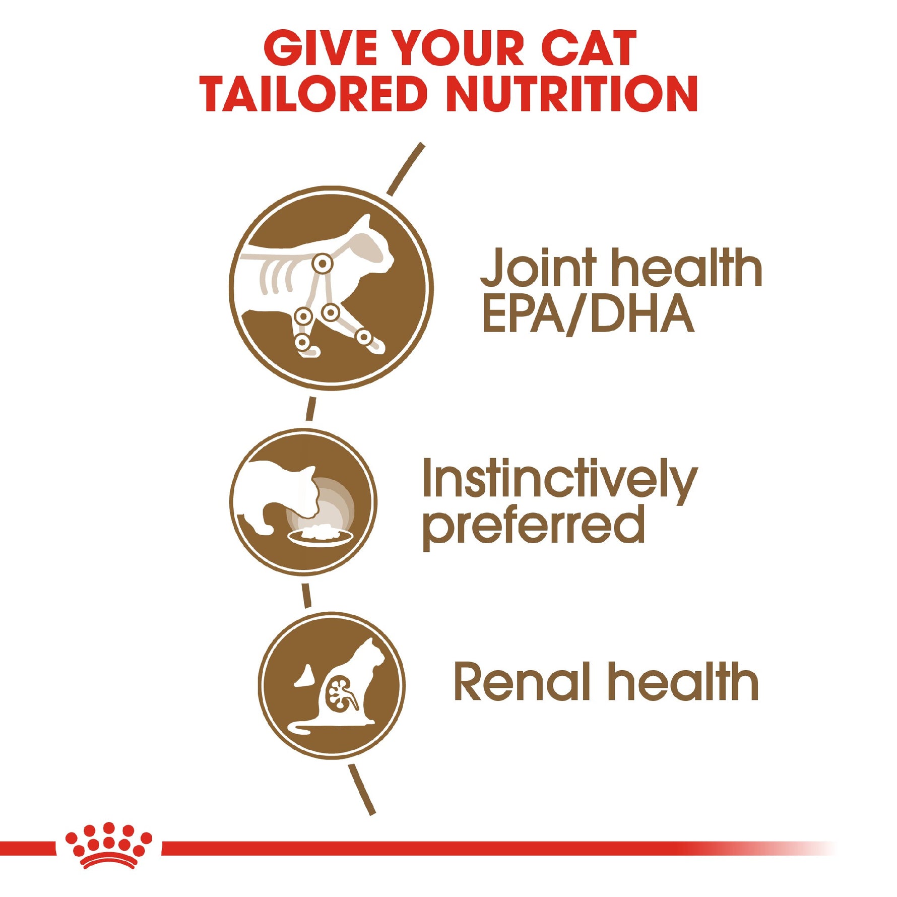 Royal Canin Cat Ageing 12+ Gravy 85g Pouch