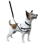 Purina Pet Life Halti Harness Small [Sz:small]