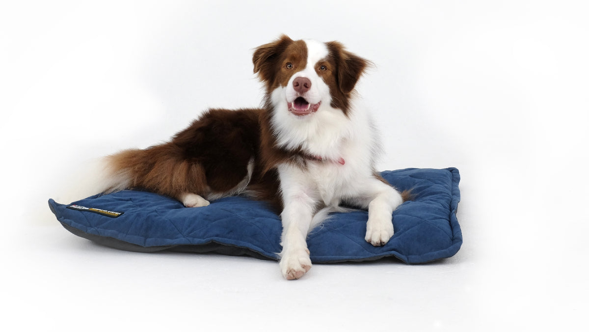 Purina Pet Life Self Warming Throw Pad Blue/Charcoal M/L