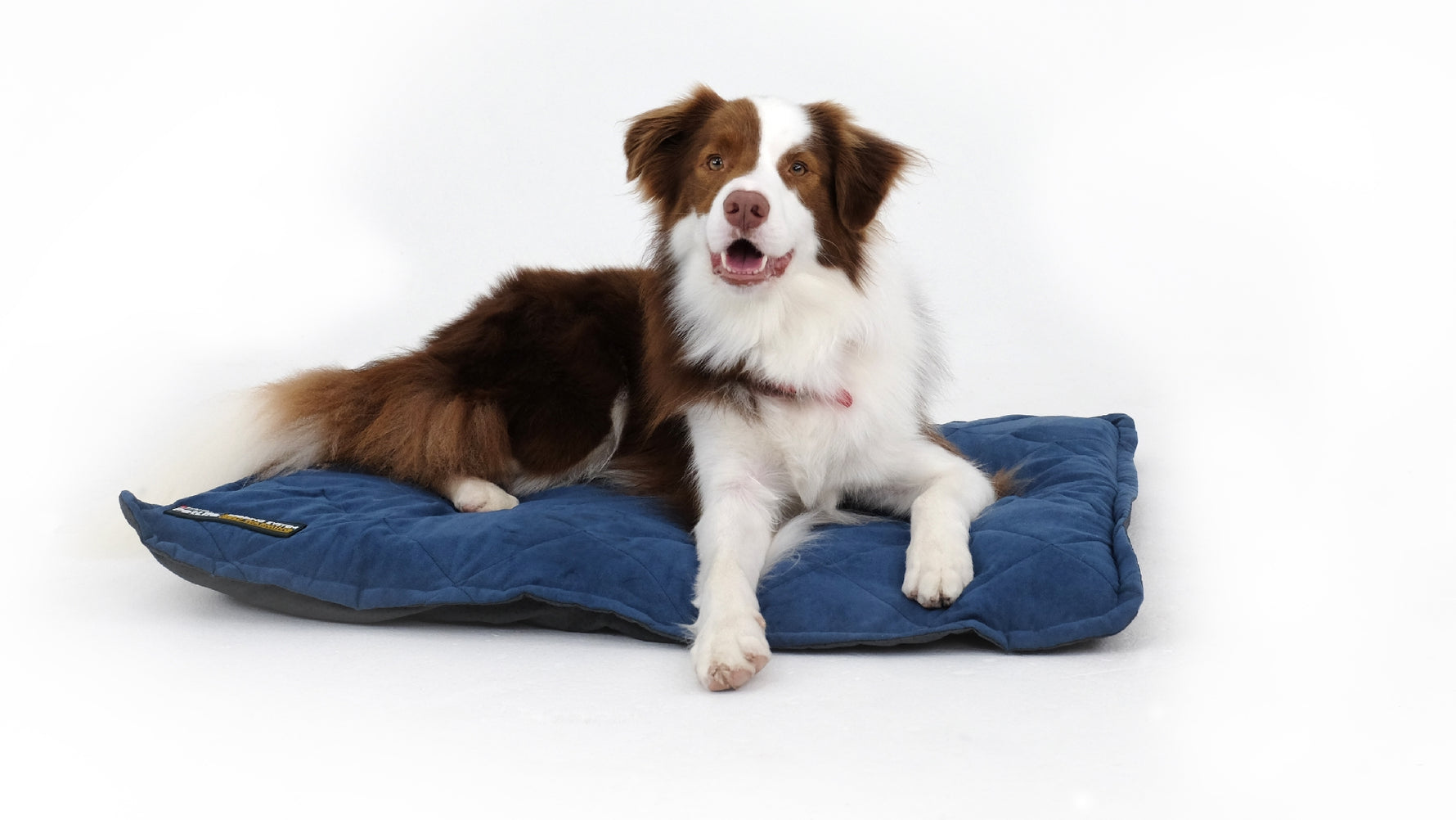 Purina Pet Life Self Warming Throw Pad Blue/Charcoal M/L