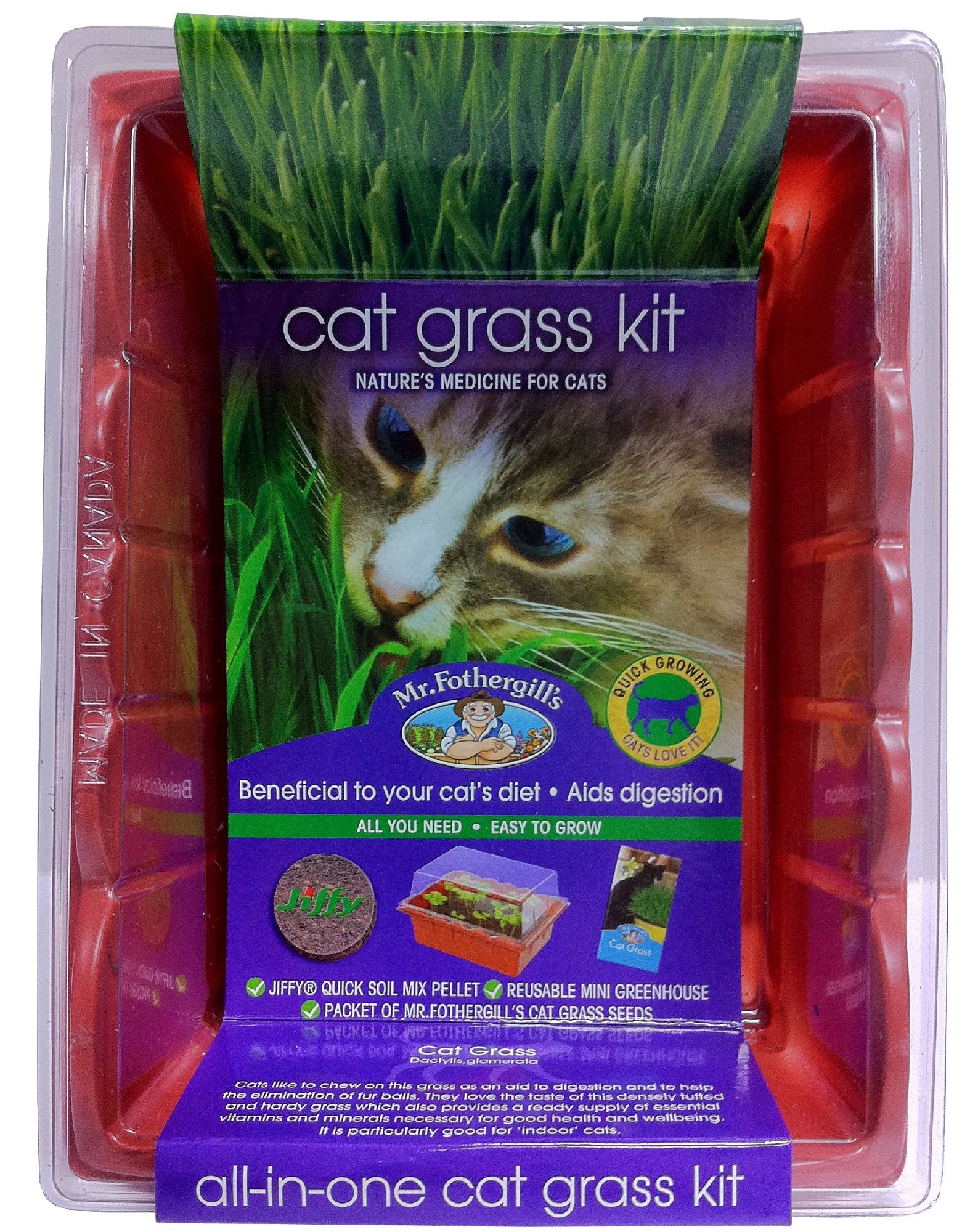 Mr Fothergills Cat Grass