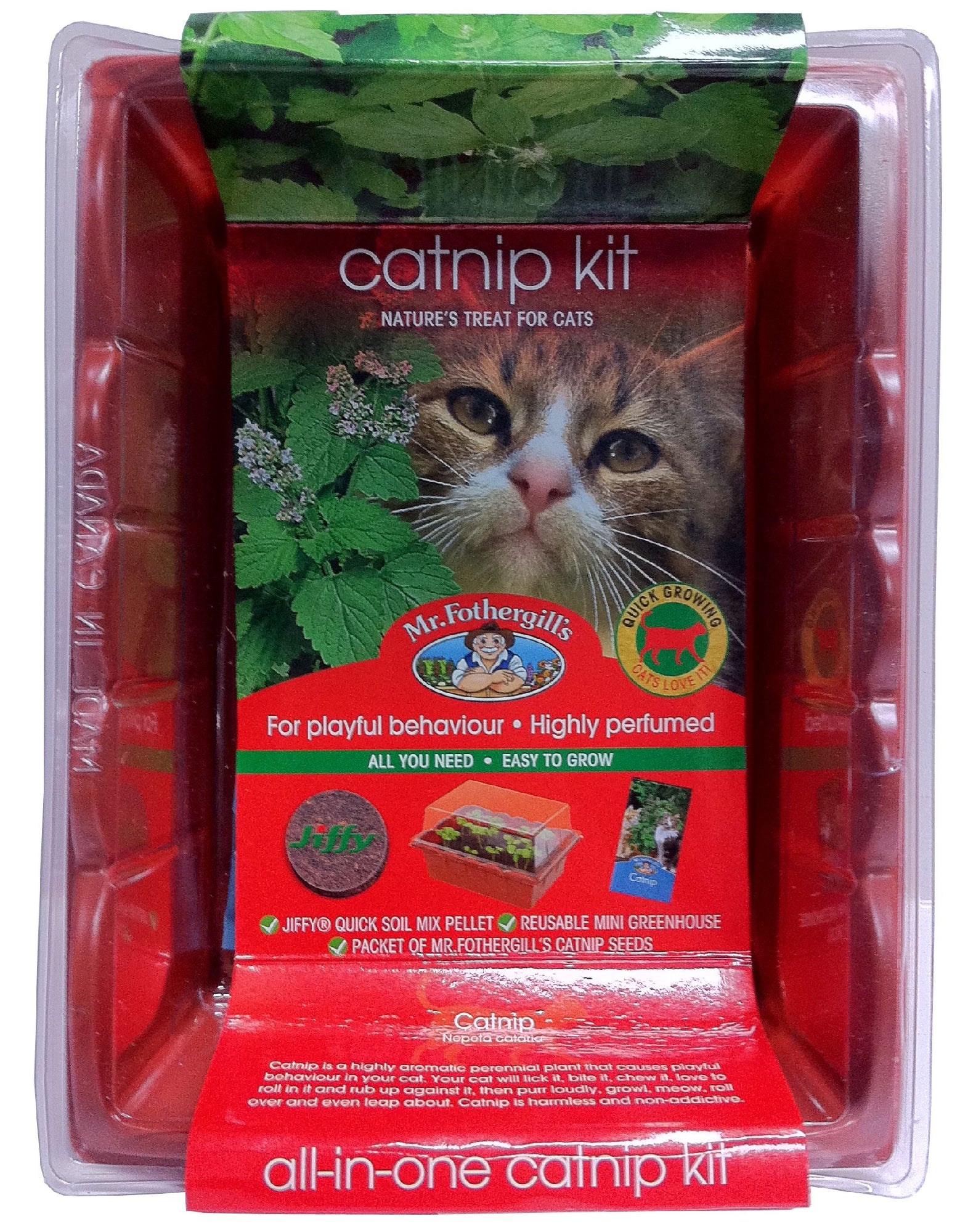 Mr Fothergills Catnip