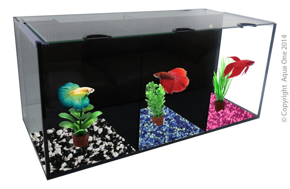 Aqua One Betta Trio Glass Tank