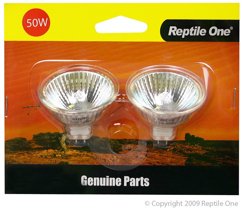 46543G REPLACEMENT GLOBE 50W 2