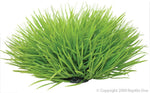 Repti One Green Spinifex 30Cm