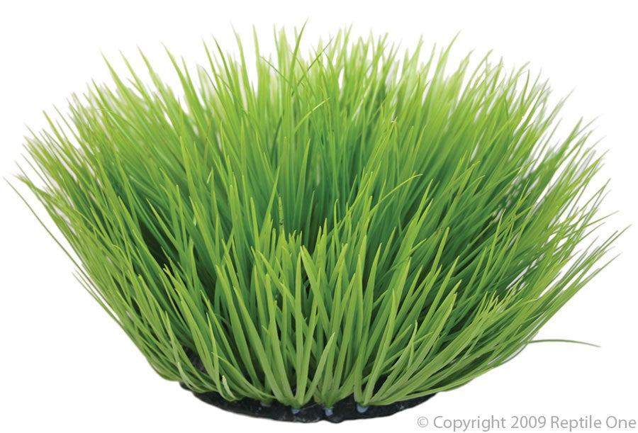 46736 REPTILE GREEN SPINIFEX ROUND 40CM