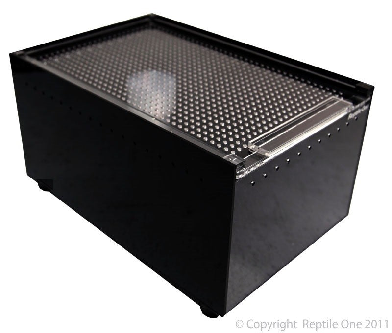HATCHLING BOX, BLACK ACRYLIC W/ANTI TIP WATER DISH 200WX300DX150H MM