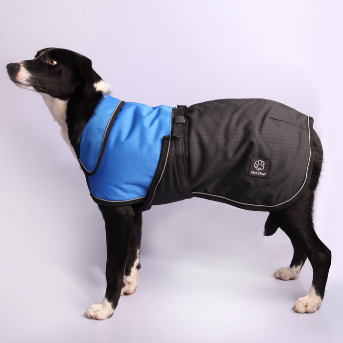 Pet One Blizzard Dog Coat Reflective Blue/Black [Sz:30cm]