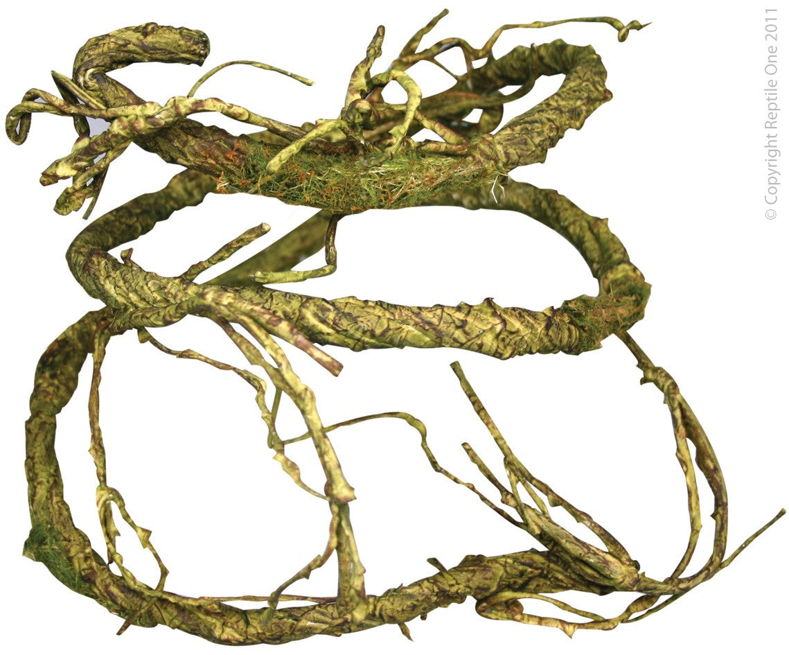 PLANT REPTILE VINE - JUNGLE TWIST MOSS 1.5M