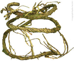 PLANT REPTILE VINE - JUNGLE TWIST MOSS 1.5M