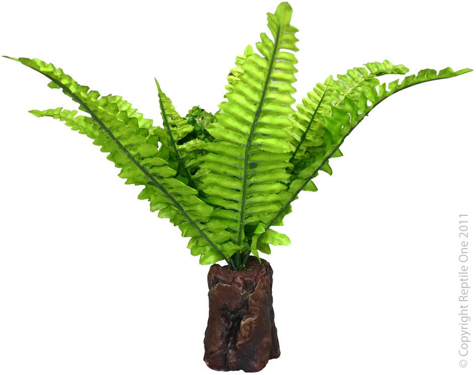 PLANT REPTILE REALISTIC FERN ON ROCK BASE (S)