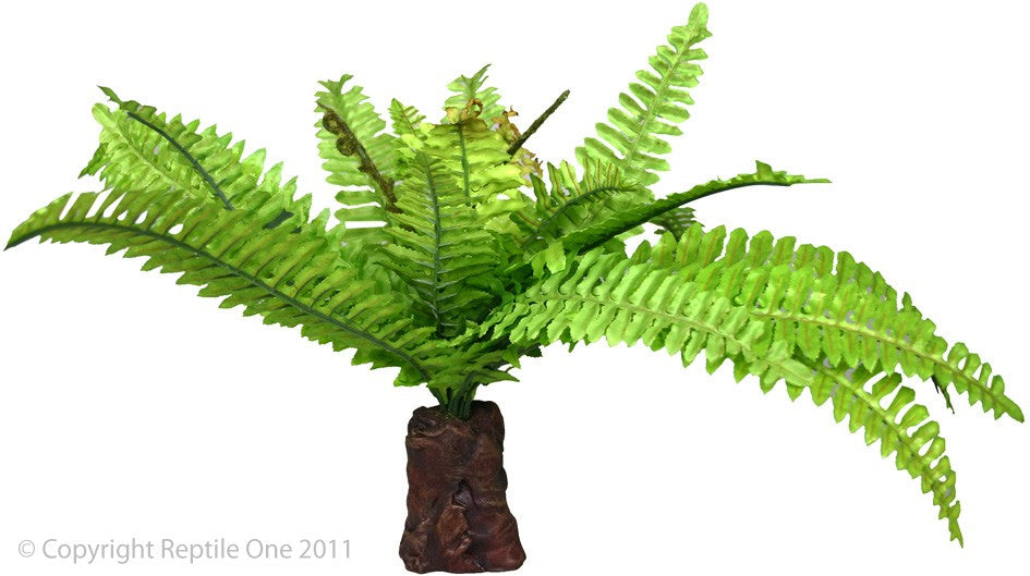Repti One Plant Reptile Realistic Fern On Rock Base (M)