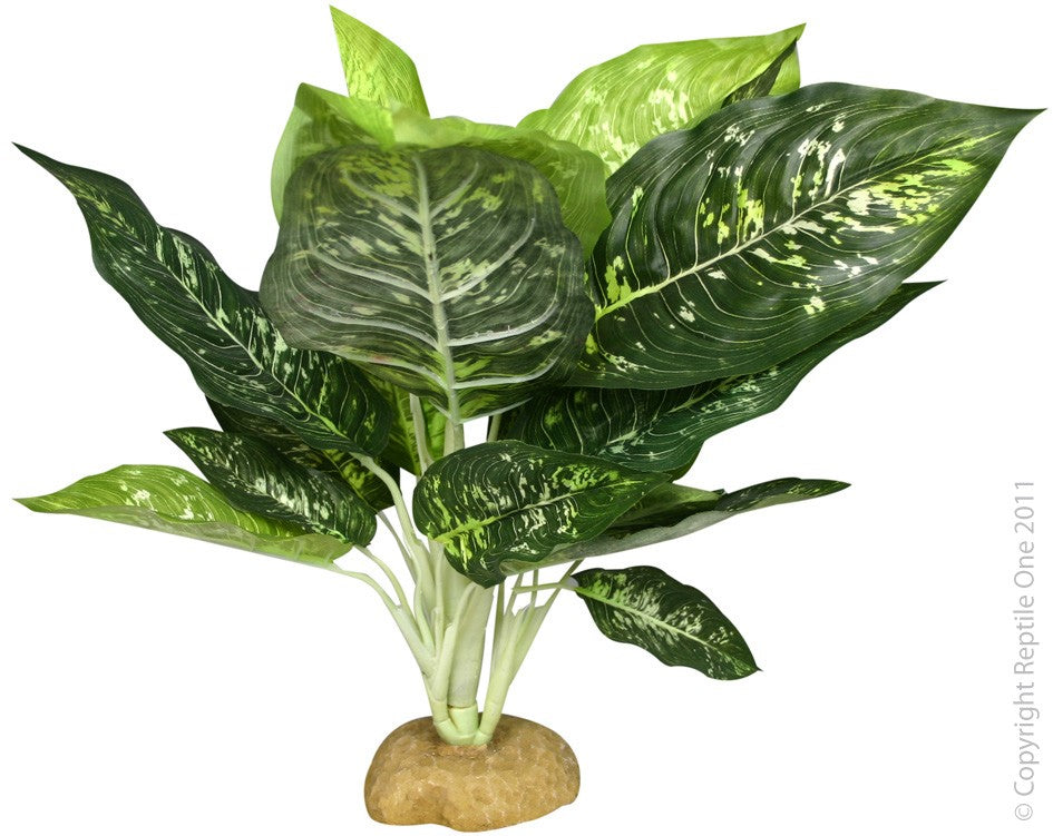 PLANT REPTILE EVERGREEN WITH ROCK BASE (L)