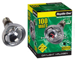 HALOGEN HEAT LAMP - DAYLIGHT, 100W