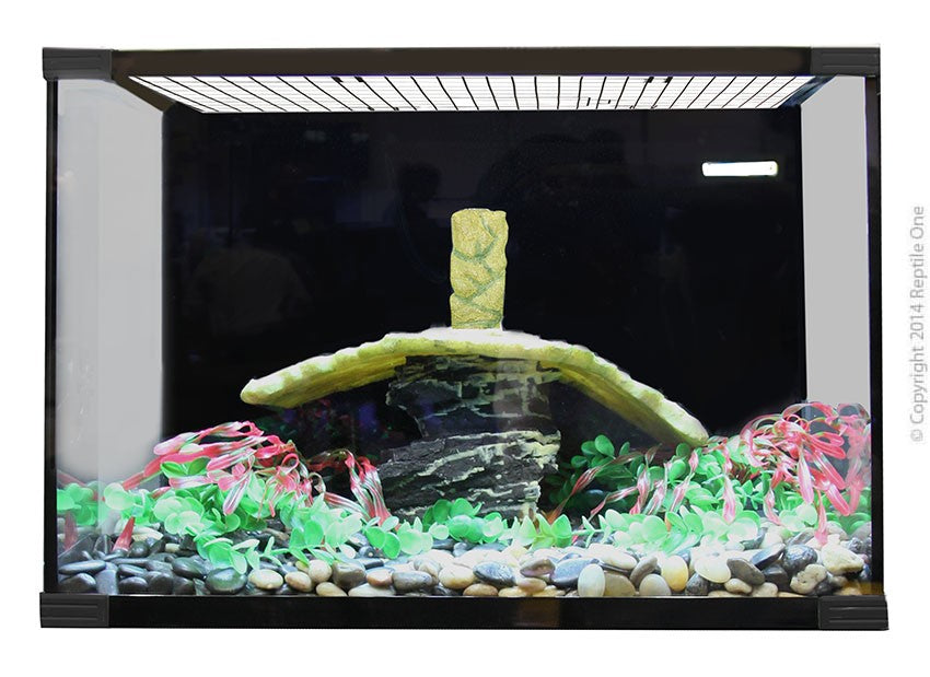 Turtle Eco 60 Tank *Available In Store or Local Delivery Only*