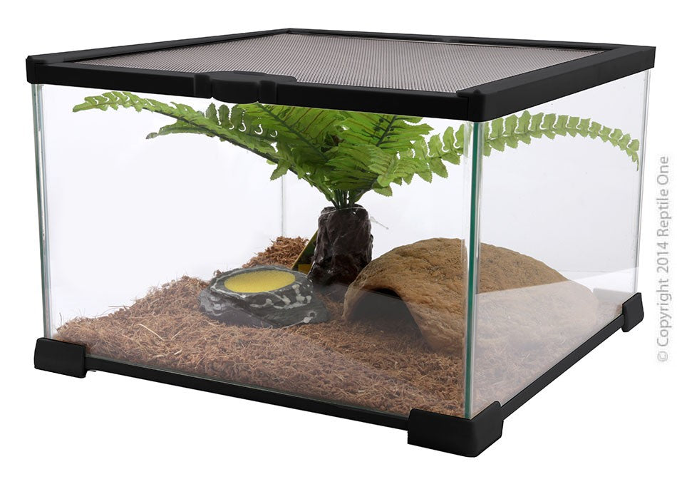 GLASS TANK MINI T2, W/WIRE MESH LID - REPTILE 30X30X30CM (H) BLACK