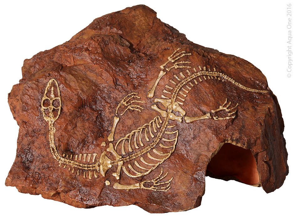 Aqua One Ornament Fossil Plesiosaur Rock 26.5x14.8x17.8Cm