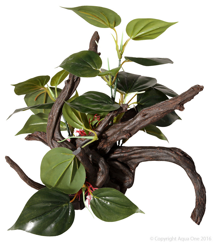ORNAMENT DRIFTWOOD W/ANUBIAS MEDIUM 36X34.5X33.5CM