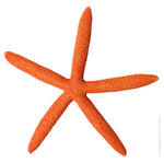 Aqua One Hermit Crab Starfish Orange 15x13.8x1.7Cm