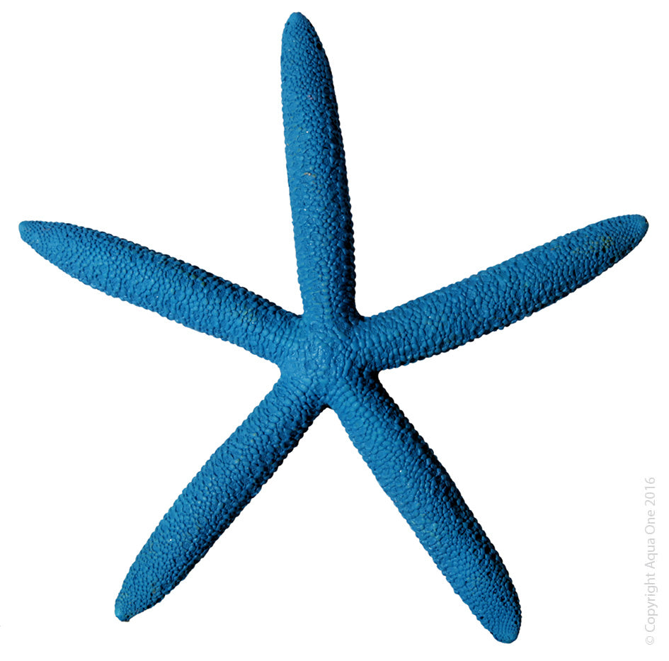 Aqua One Hermit Crab Starfish Blue 15x13.8x1.7Cm