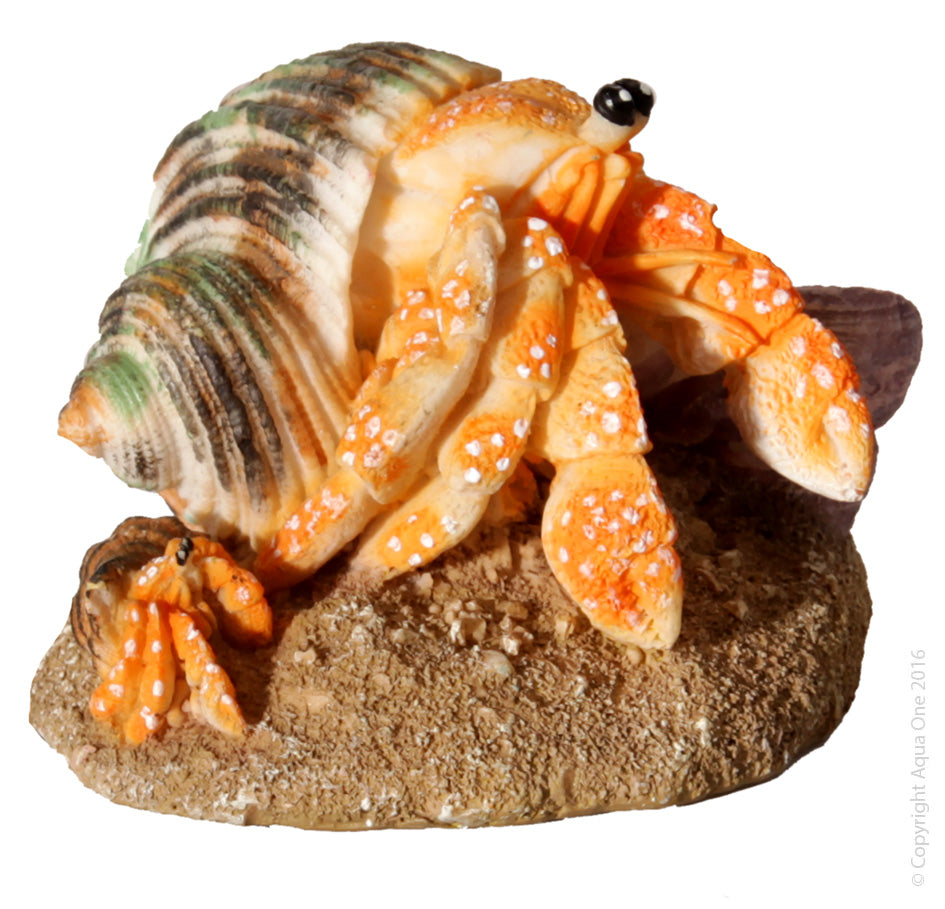 HERMIT CRAB MOTHER AND BABY ORANGE 8.1X6.7X5.8CM