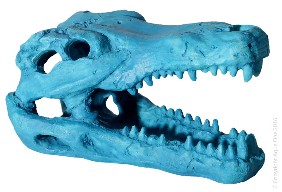 HERMIT CRAB ALLIGATOR SCULL BLUE 7.5X4.5X4.5CM