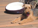 Choozy Fashions small  Cubby Choc Cream  Australian Cotton