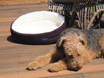 Choozy Fashions medium Cubby Choc Cream  Australian Cotton