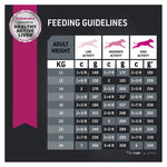 Eukanuba Dog Medium Breed Adult 3kg 