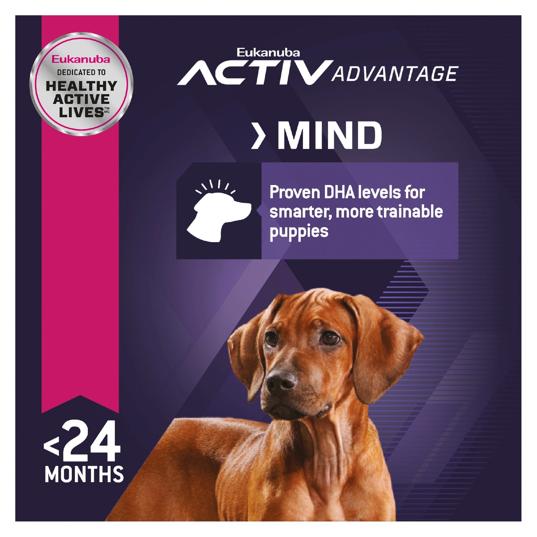 Eukanuba Dog Large Breed Puppy 15kg 