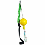 Home Alone Dog Toy -  Medium
