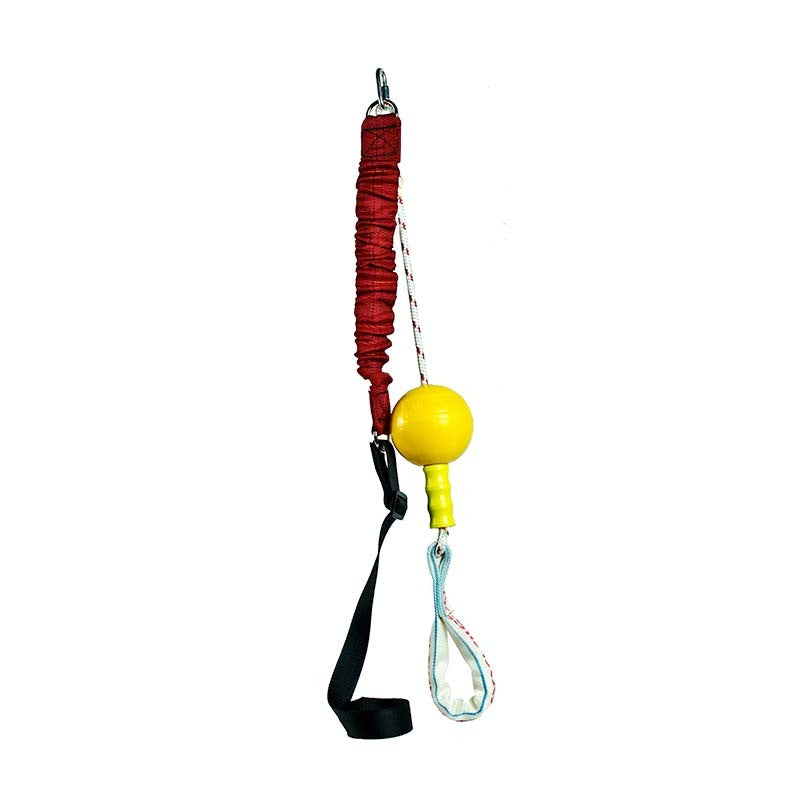 Home Alone Dog Toy - Small