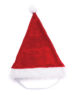 Kazoo Christmas Santa Hat - Large