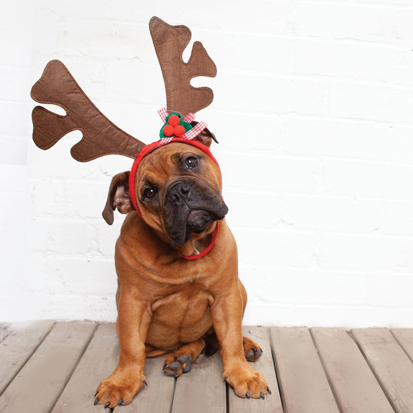 Kazoo Christmas Reindeer Antlers