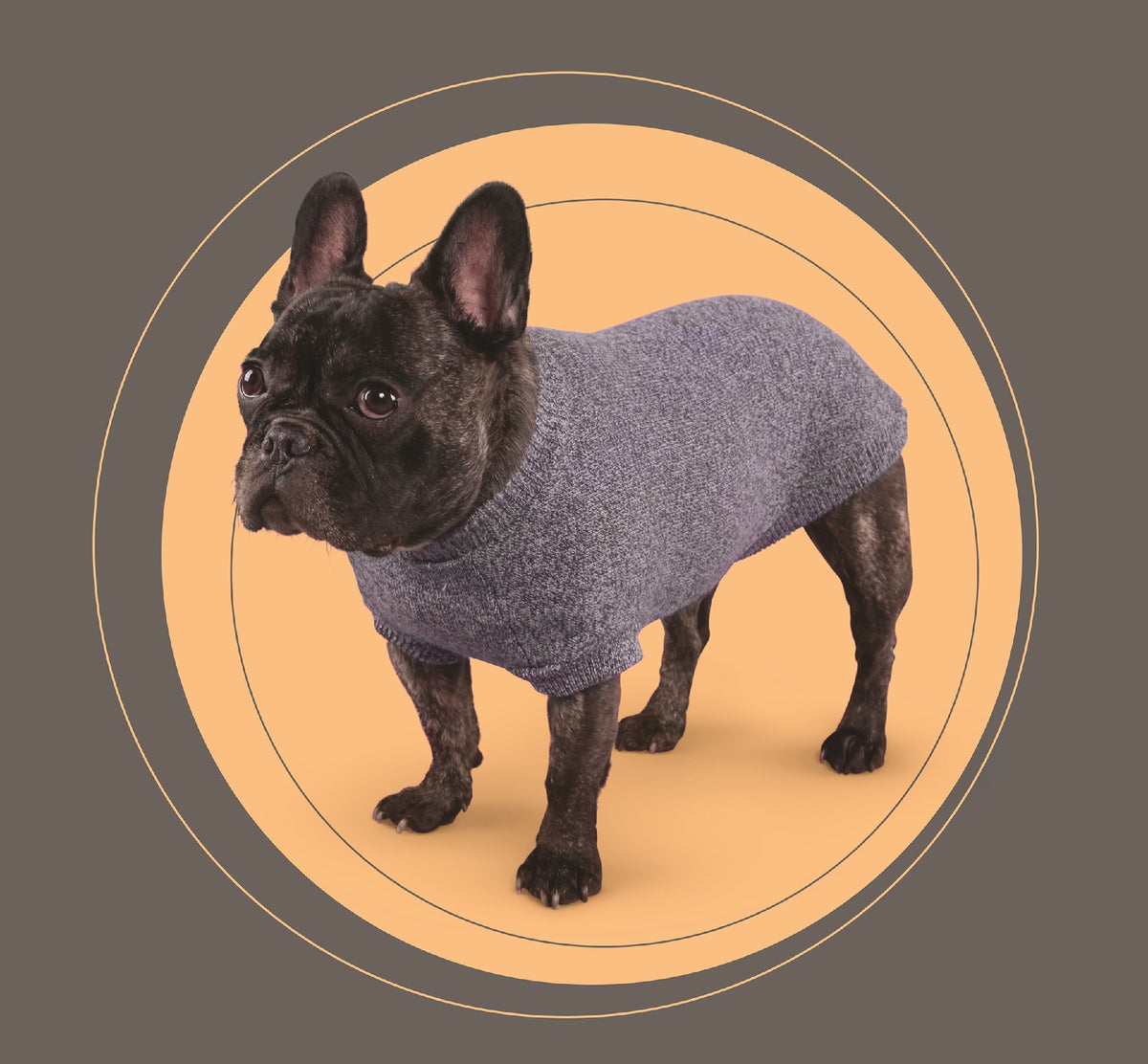 Kazoo Crew Jumper I 53.0cm Blue