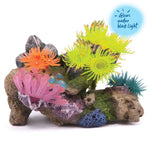 Kazoo Soft Coral Stone with Plants - Medium