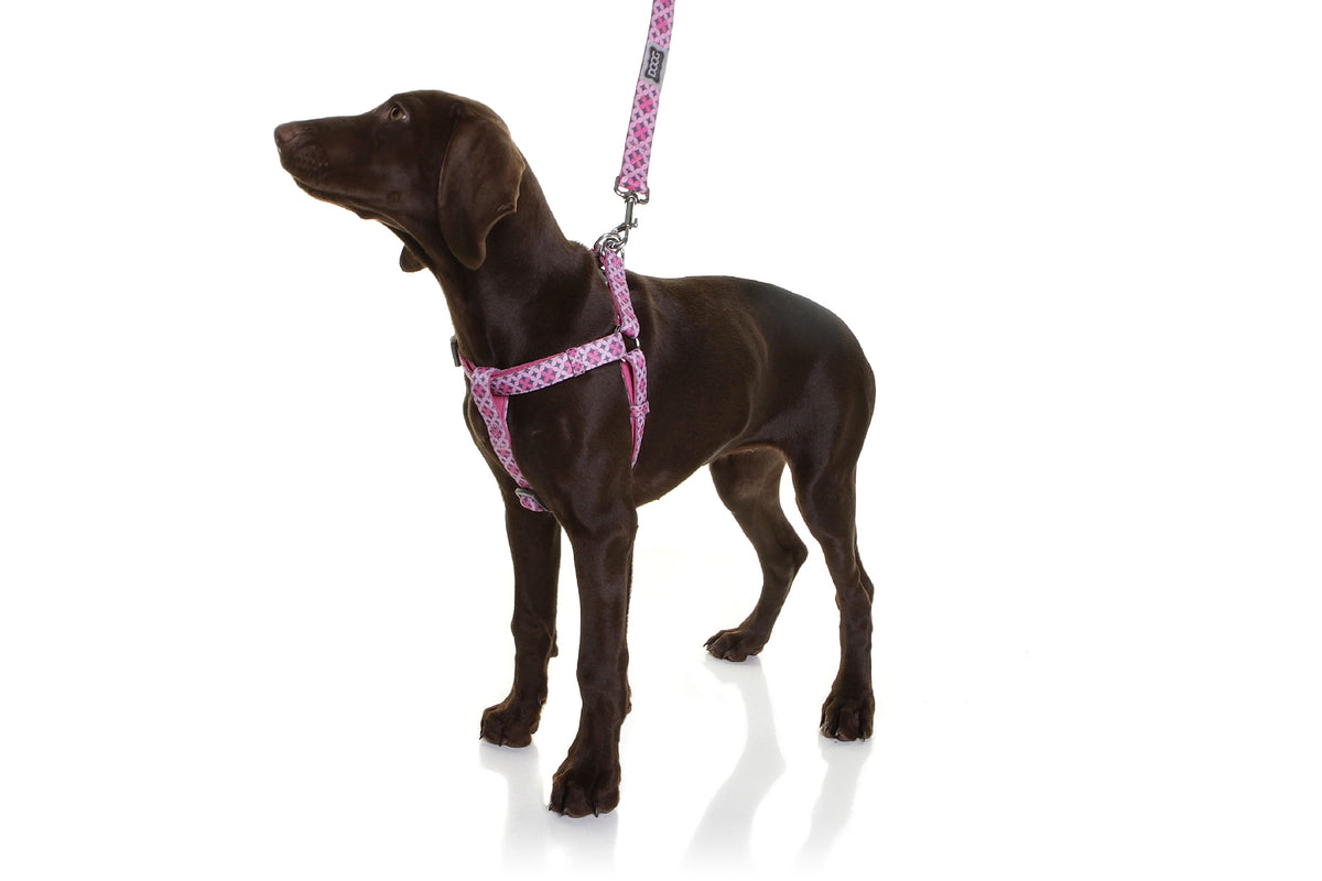Doog Toto Harness - Pink & Grey [Sz:X Small]