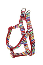 Doog Scooby Harness - Candy Striped [Sz:X Small]