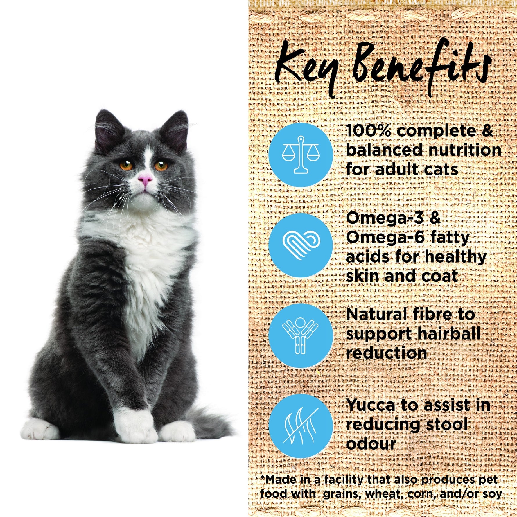 Ivory Coat  Ocean Fish Salmon Dry Cat Food 3kg