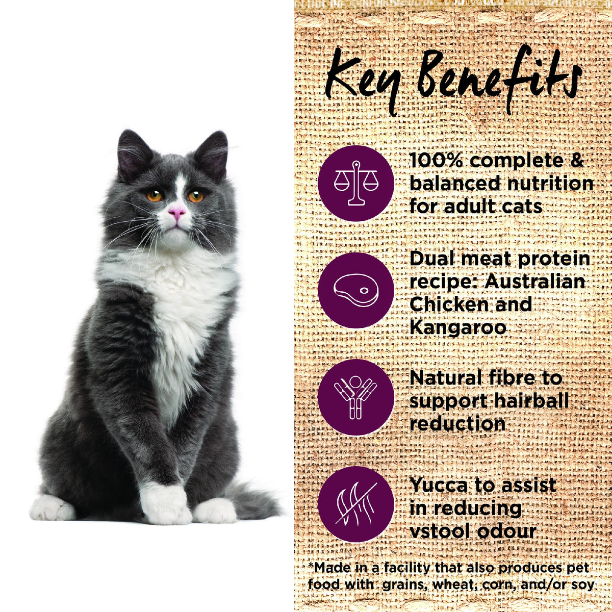 Ivory Coat Indoor Cat Chicken & Kangaroo 3kg