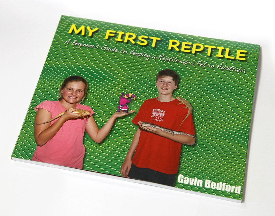 MY FIRST REPTILE