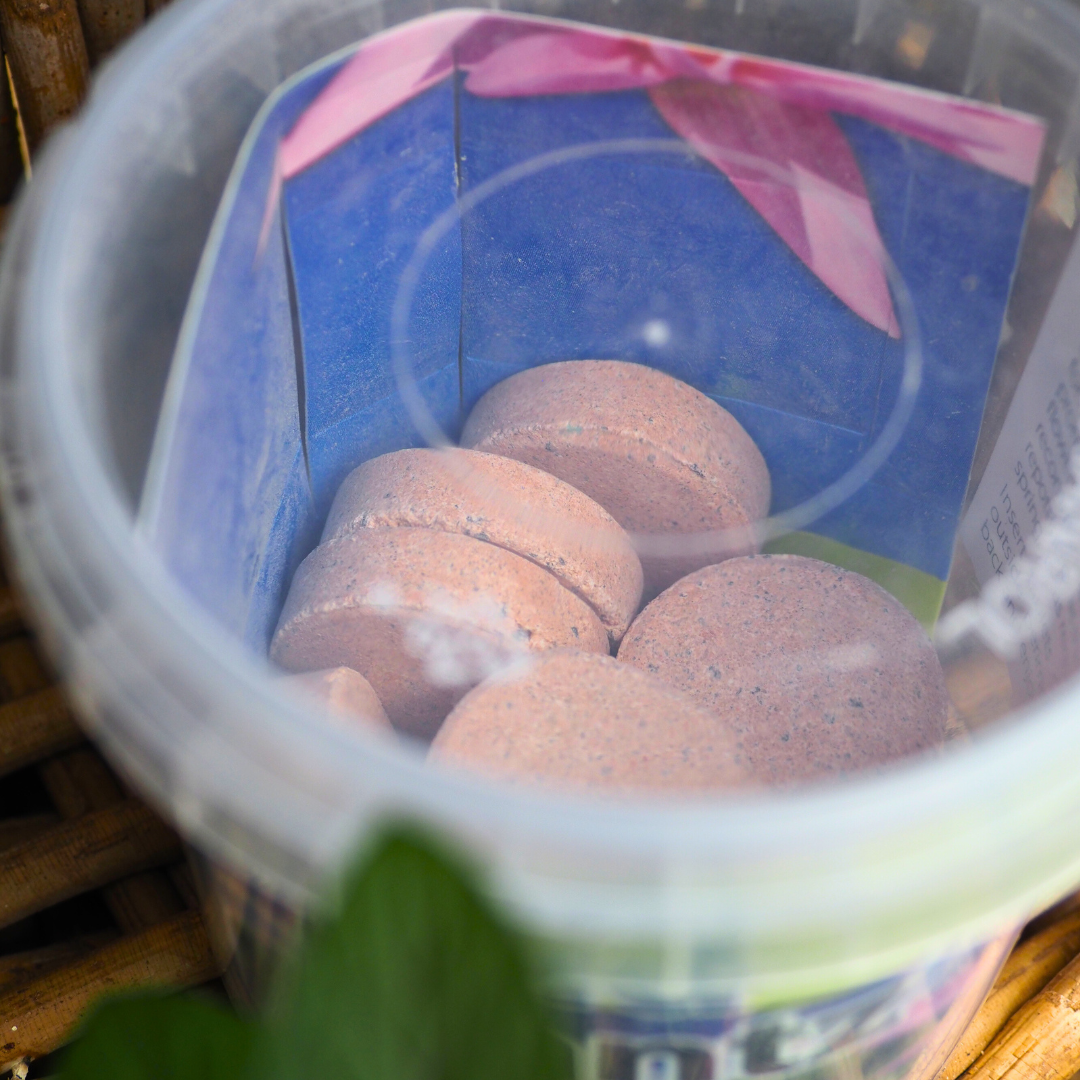 Pond Plantz Time Release Fertilizer