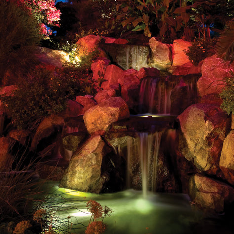 PondMAX multi colour lights in a garden pond