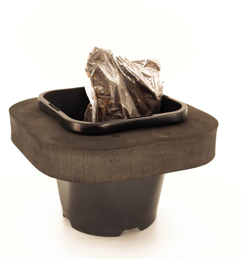 Buy Floating Pond Plant Rings and Lily Pots Online Here Aquatic Planter Baskets for Sale
